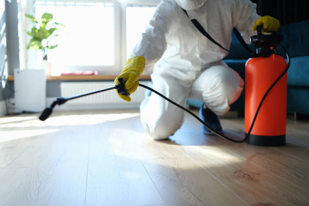 Reliable Sewage Cleanup contractor in District Heights, MD by Crime Scene Cleaner Online