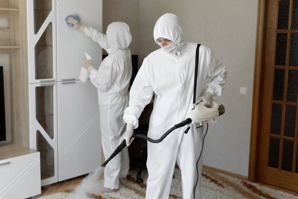 Affordable Sewage Cleanup solutions in District Heights, MD